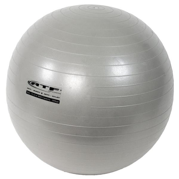 Exercise balls